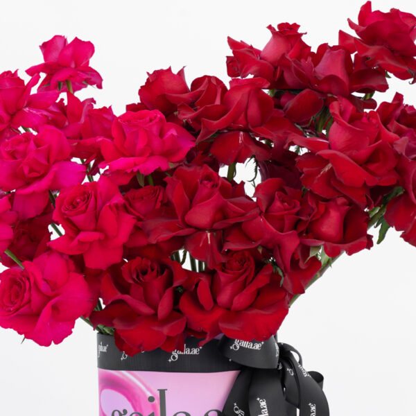 Gaila Online Flower Shop Dubai | Same Day Flower Delivery | Premium Floral Bouquets