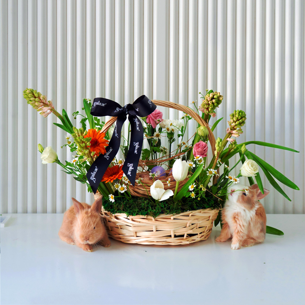 Gaila Online Flower Shop Dubai | Same Day Flower Delivery | Premium Floral Bouquets