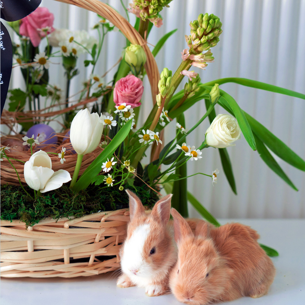 Gaila Online Flower Shop Dubai | Same Day Flower Delivery | Premium Floral Bouquets