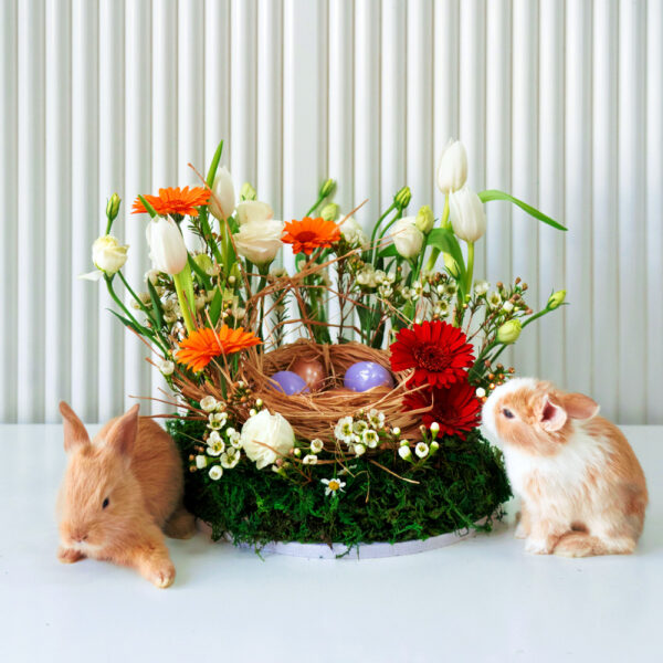 Gaila Online Flower Shop Dubai | Same Day Flower Delivery | Premium Floral Bouquets