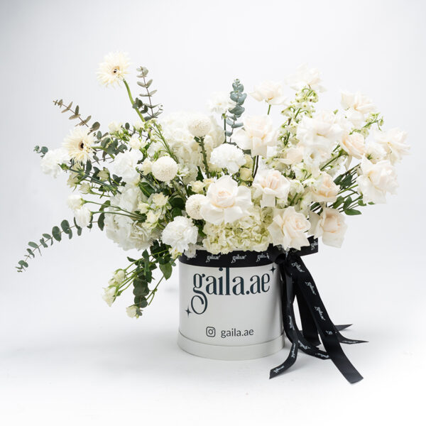 Powder White Box