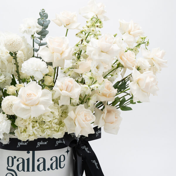 Powder White Box - Image 3