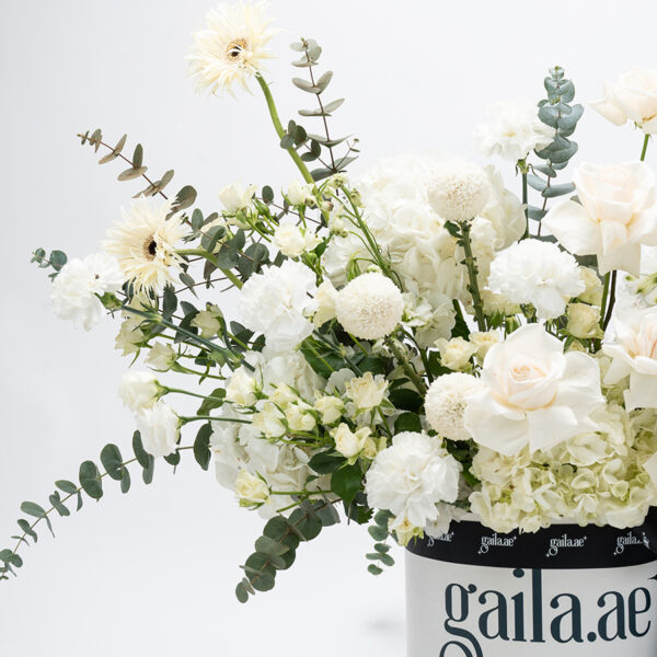 Powder White Box - Image 2