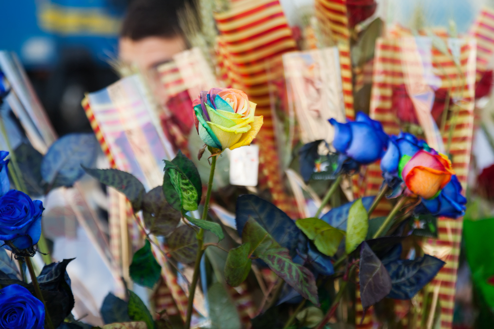 What Flower Colors Mean in Emirati Culture